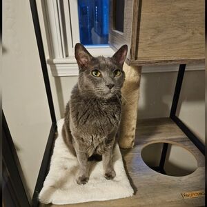 In MEMORY of Our GREER 💓